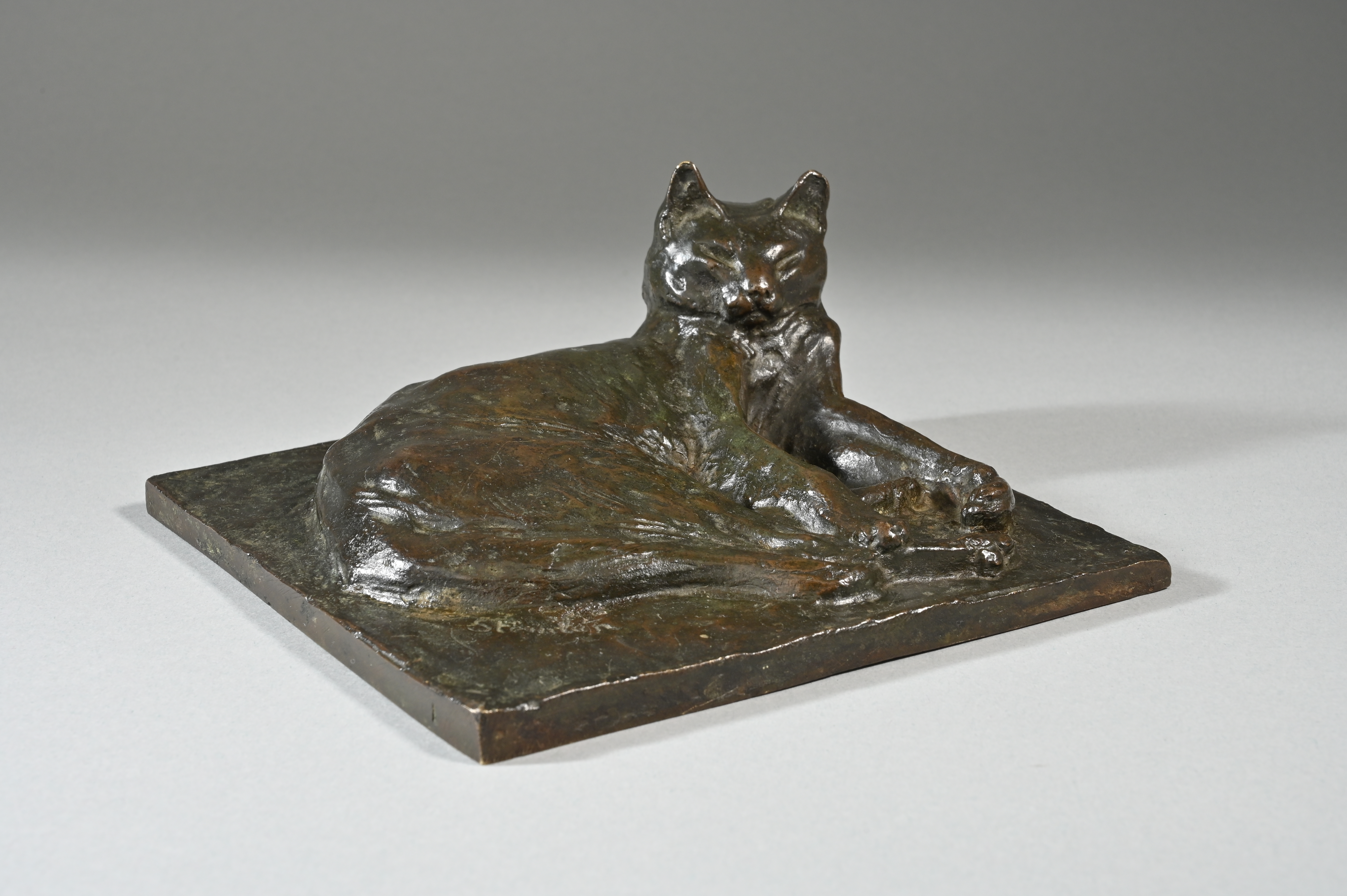 CHAT COUCHÉ, tête levée, pattes parallèles
